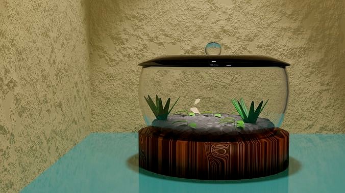 Terrarium