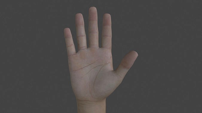 HAND-036 Counting Animation