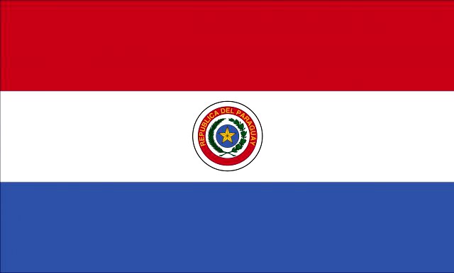 Paraguay flag 3D Model