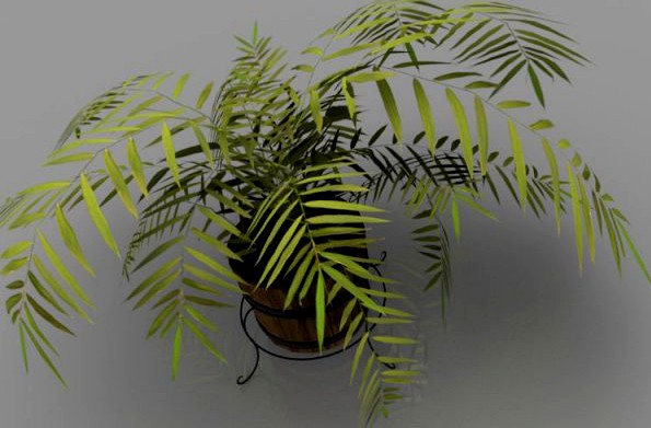 Plant 3D Model