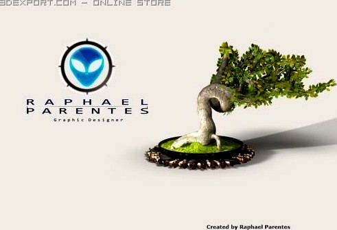 Bonsai Tree 3D Model