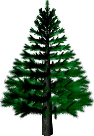 3D Model Pine 3D Model