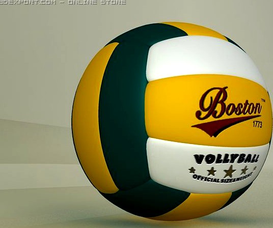 Volleyball Boston 3D Model