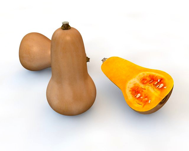 butternut squash