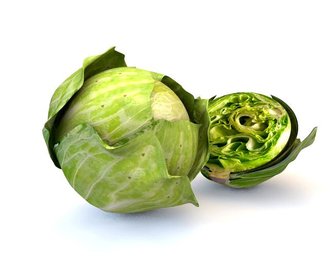 cabbage green