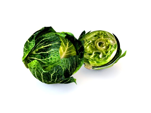 cabbage dark green