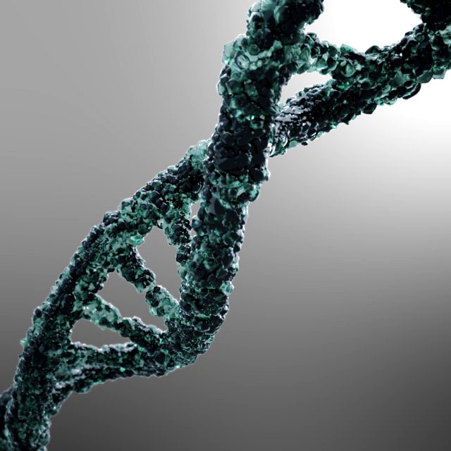 DNA strand 3D Model