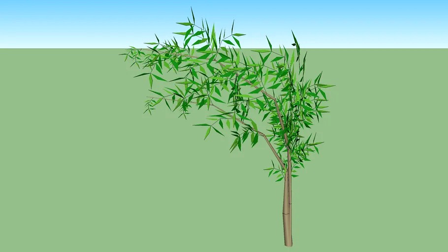 BAMBU