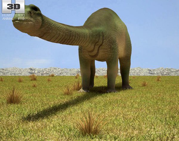 Apatosaurus 3D Model