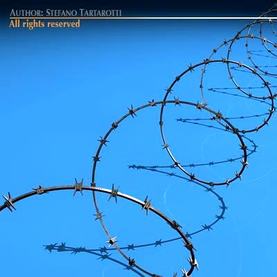 Barbed wire 3D Model