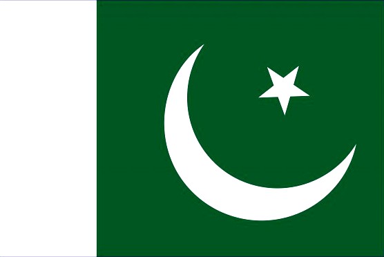 Pakistan flag 3D Model