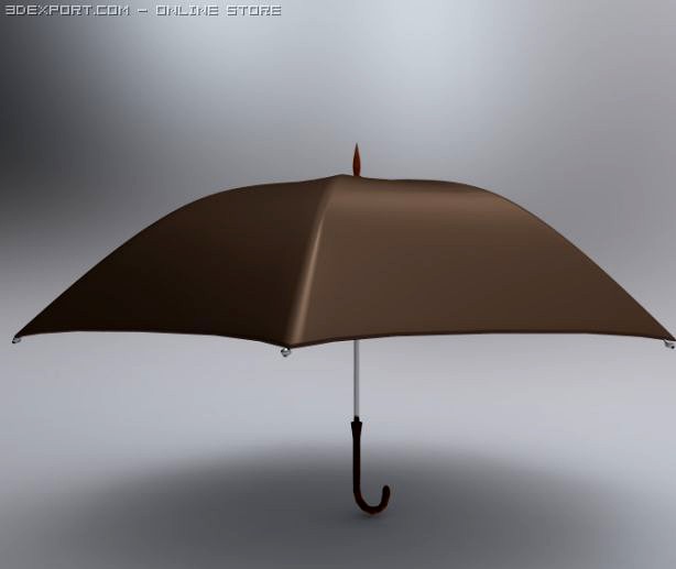 Umbrella 3D Model