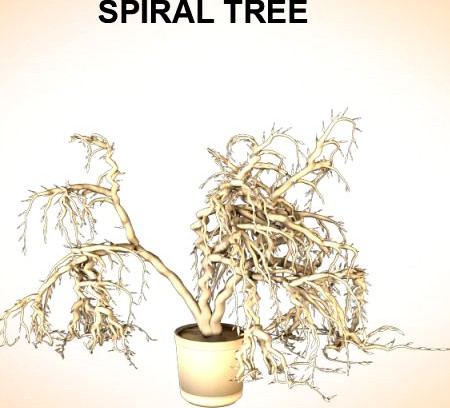 Spiral Tree 3D Model