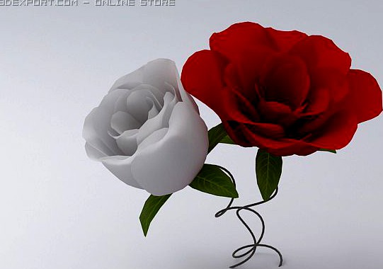 3D model of Roses 3D Model