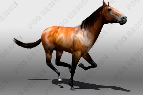 Horse 3D Model