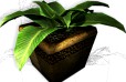 Plant in a pot game ready 3D Model