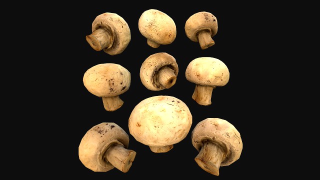 Champignon Mushrooms