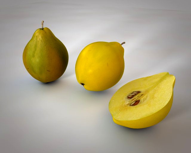 quince fruit