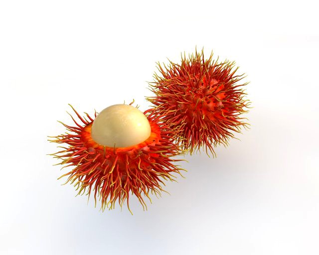 rambutan fruit