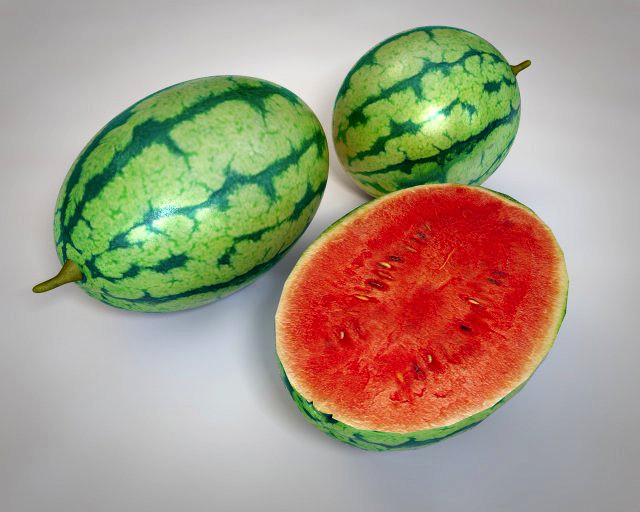 watermelon fruit