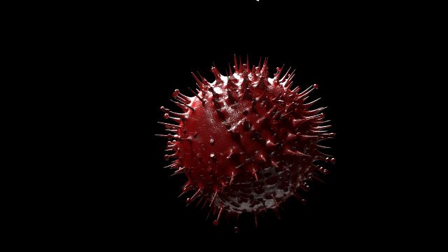 corona virus