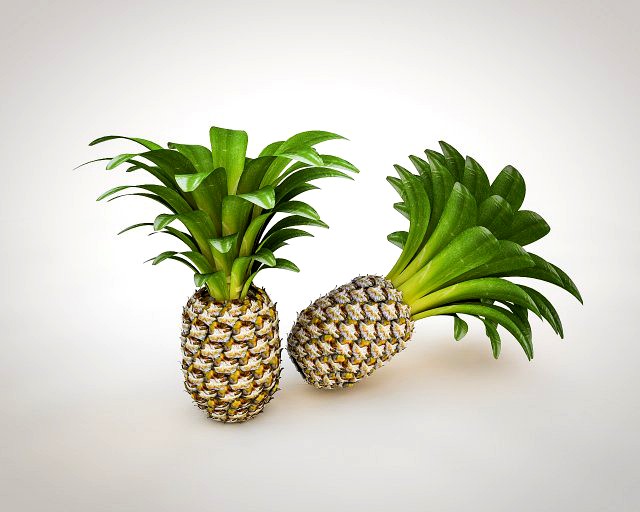 pine apple fruit