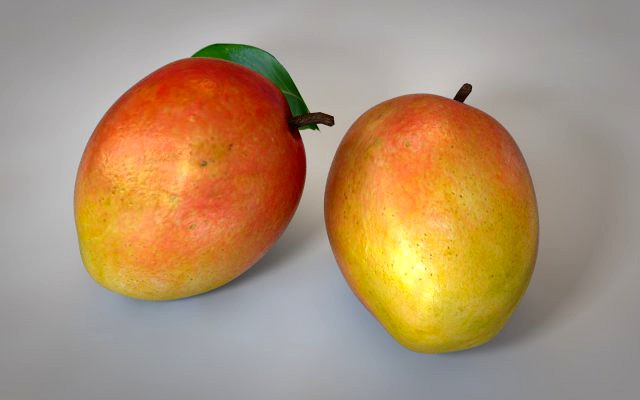 mango fruit