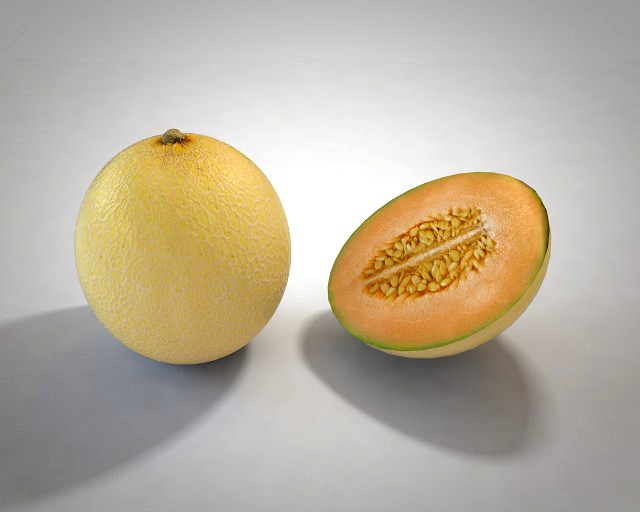 melon fruit