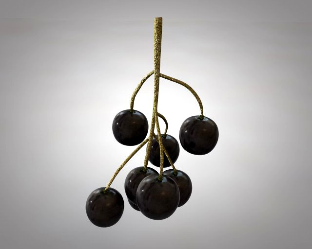 black currant