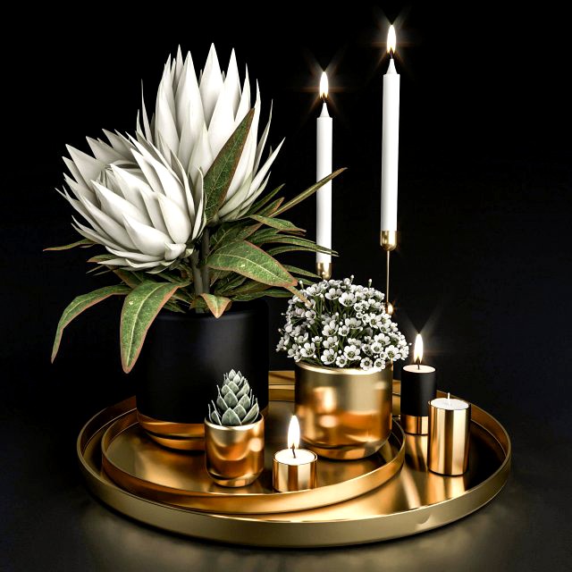 decorative set with plants in pots