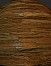 Wood floor texture 3D Model