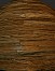 Wood floor texture 3D Model