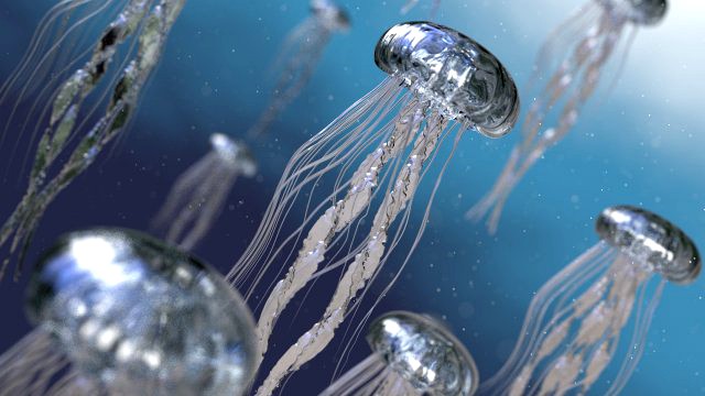 jelly fish high poly