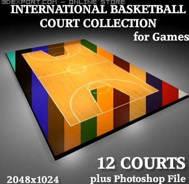 International Basketball Court 3D Model