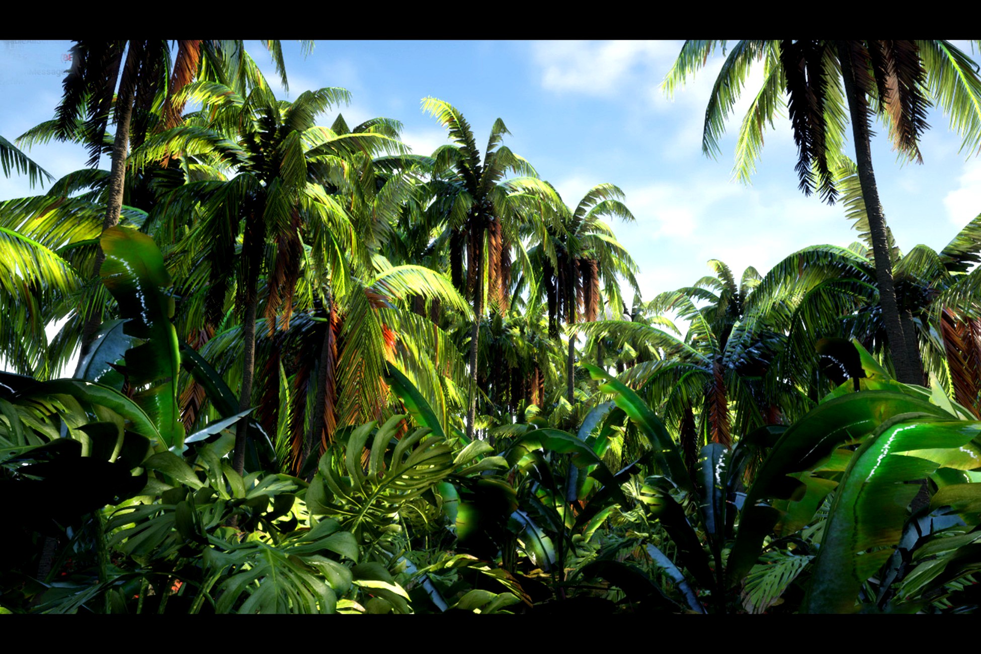 Jungle palms forest biome