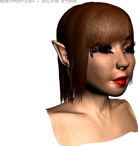 Elf woman head 3D Model