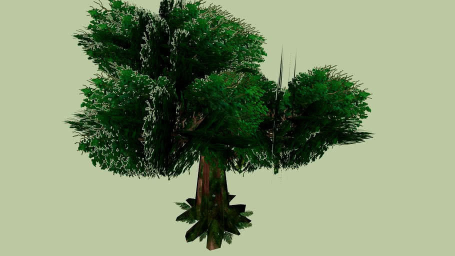rainforest tree