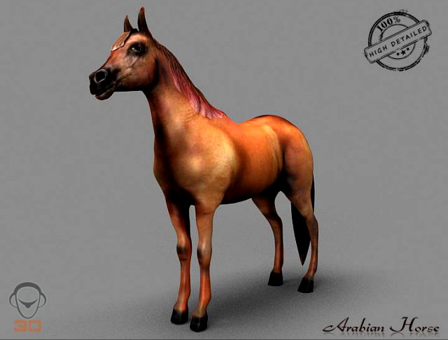 Arabian Horse 3D Model