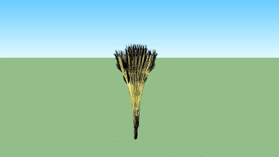 Sheaves Of Wheat 3d model