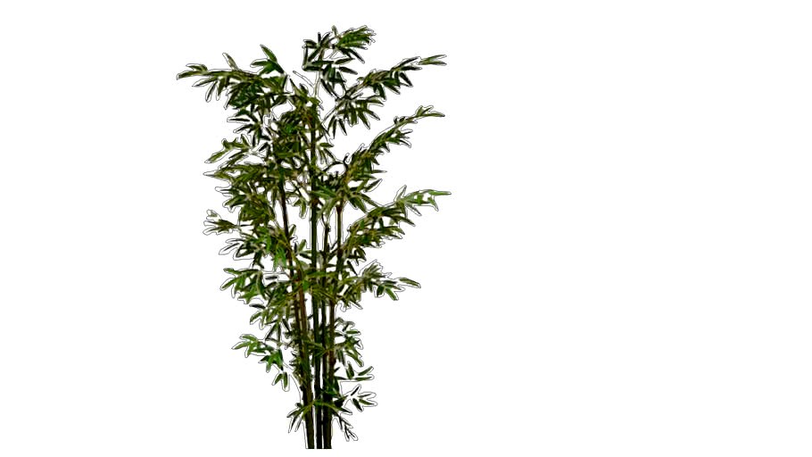 bambu