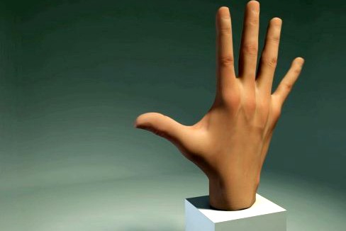 Hand 3D Model