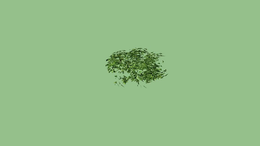 Textured Juniper