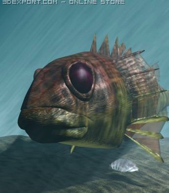 Rascasse  Lion fish 3D 3D Model