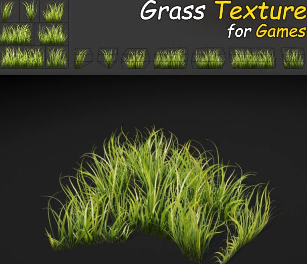 Dense Grass Texture 3D Model