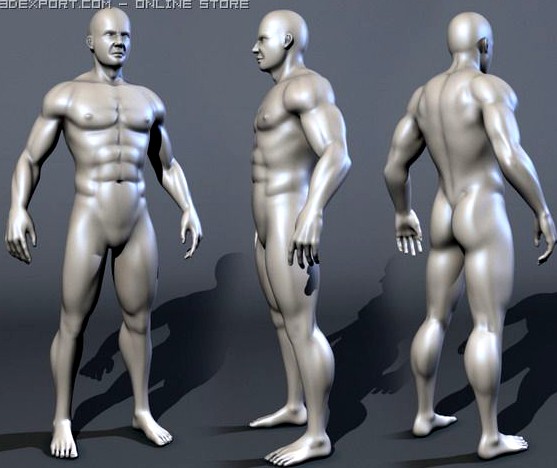 Male Bodybuilder 3D Model