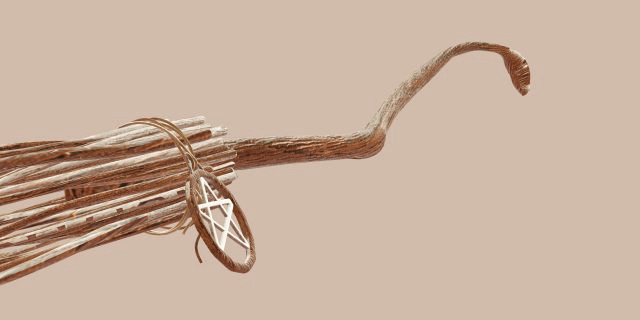 Witch broom Low-poly