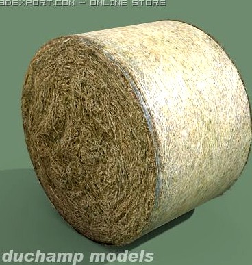 Hay round bale 3D Model