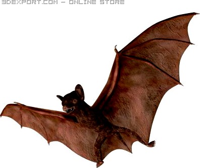 Bat 3D Model