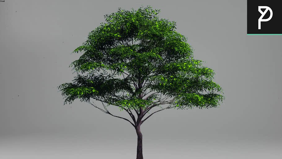 tree2