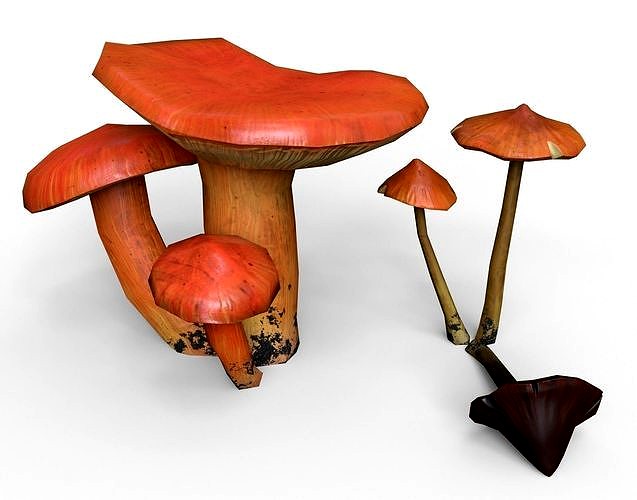 Crimson Waxcap and Witch Hat Mushrooms Set